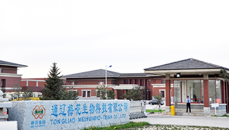 內蒙古通遼現場